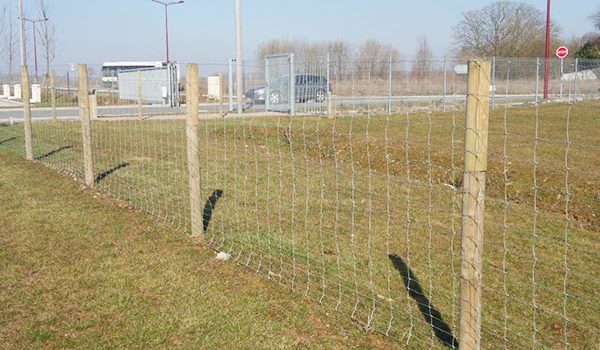 Clôture rouleau grands linéaires